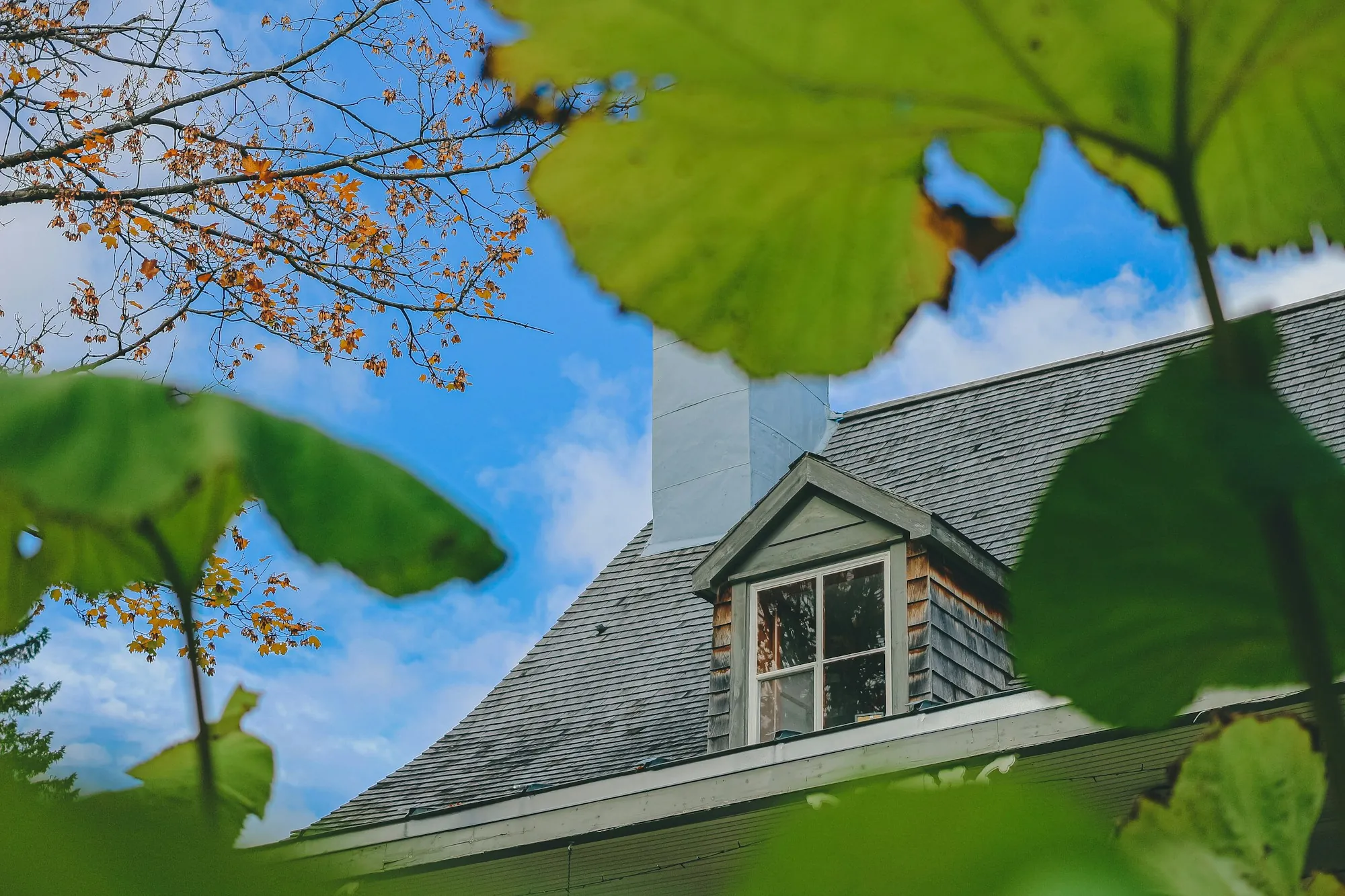 A quiet residential roof line
